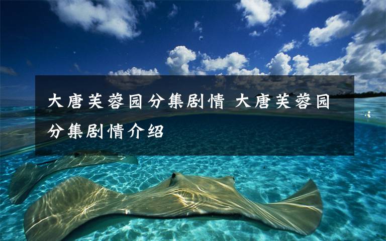 大唐芙蓉园分集剧情 大唐芙蓉园分集剧情介绍
