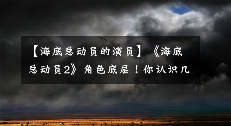 【海底总动员的演员】《海底总动员2》角色底层！你认识几个人？