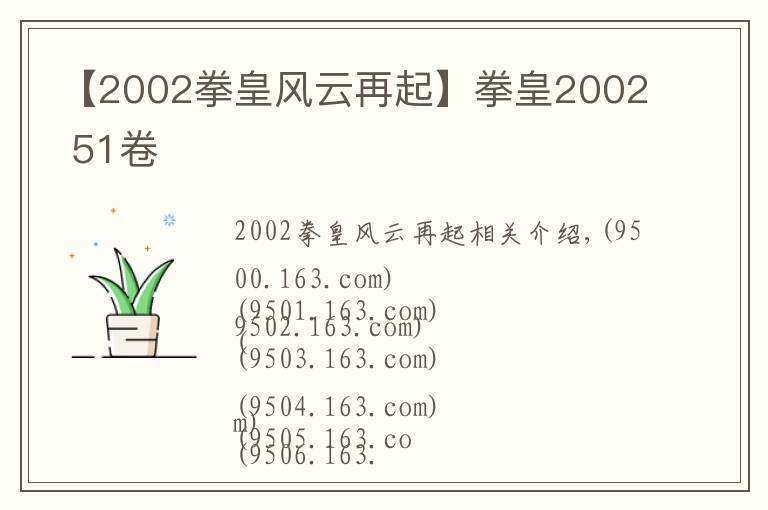 【2002拳皇风云再起】拳皇2002 51卷