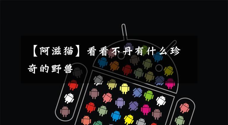 【阿滋猫】看看不丹有什么珍奇的野兽