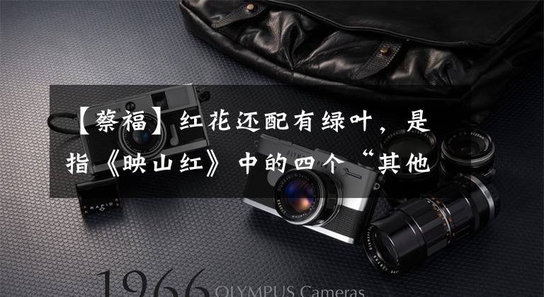 【蔡福】红花还配有绿叶，是指《映山红》中的四个“其他美男”！