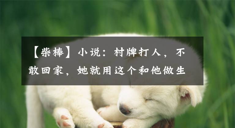 【柴棒】小说：村牌打人，不敢回家，她就用这个和他做生意，村牌成了她的弟弟