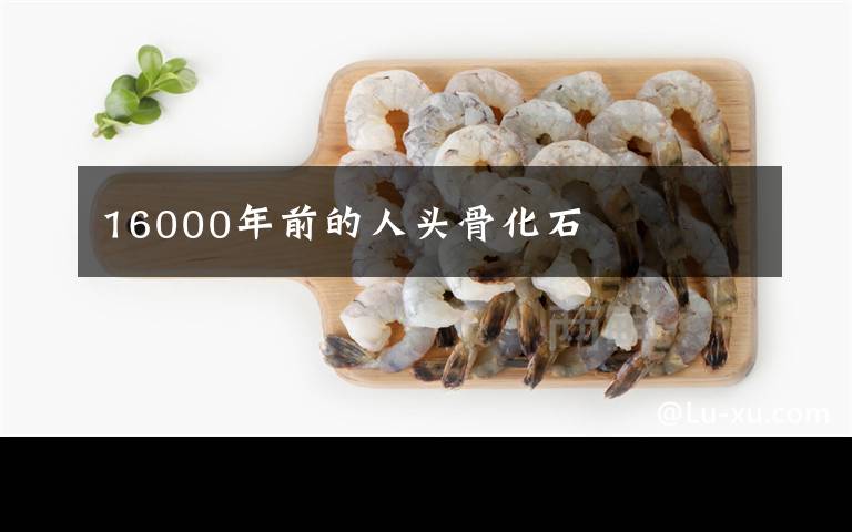 16000年前的人头骨化石