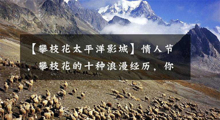 【攀枝花太平洋影城】情人节，攀枝花的十种浪漫经历，你有几种？