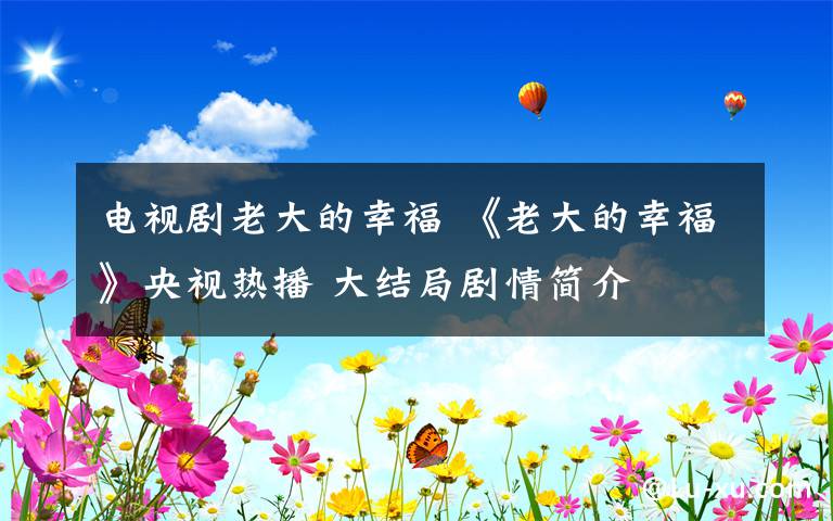 电视剧老大的幸福 《老大的幸福》央视热播 大结局剧情简介