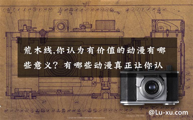 荒木线,你认为有价值的动漫有哪些意义？有哪些动漫真正让你认真思考过？