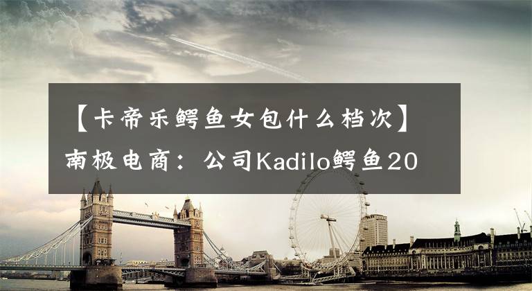 【卡帝乐鳄鱼女包什么档次】南极电商：公司Kadilo鳄鱼2020年GMV  337187.52万韩元