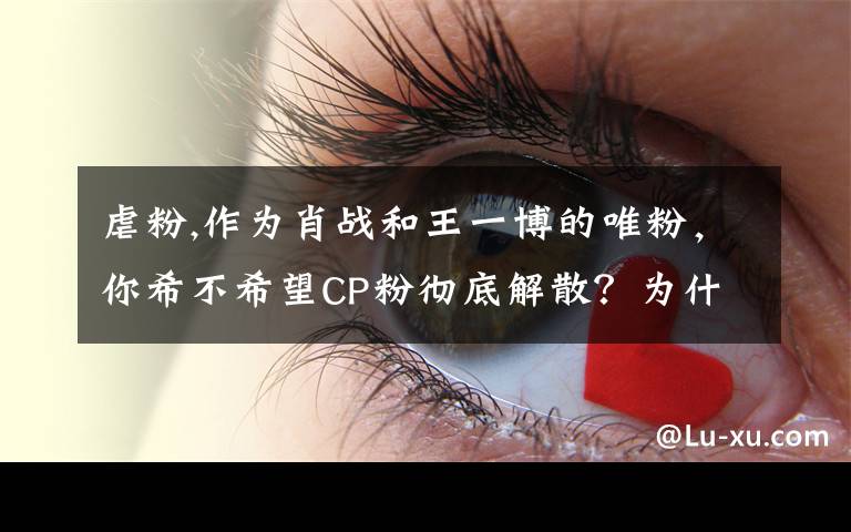 虐粉,作为肖战和王一博的唯粉，你希不希望CP粉彻底解散？为什么？