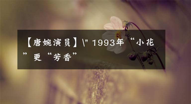 【唐婉演员】