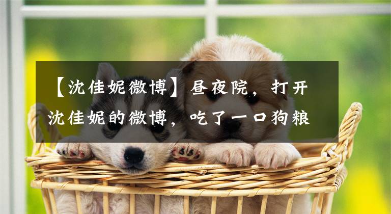 【沈佳妮微博】昼夜院，打开沈佳妮的微博，吃了一口狗粮，果然是走路的荷尔蒙！