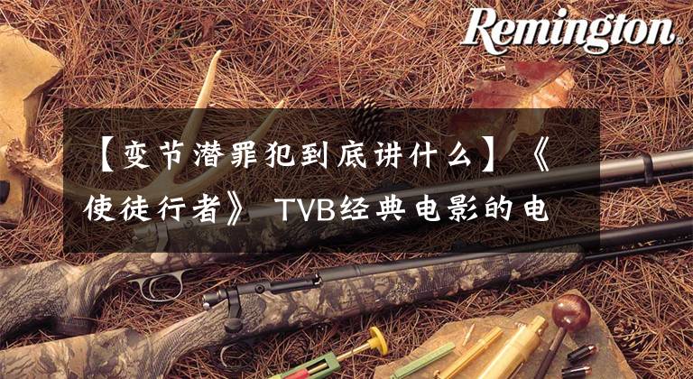 【变节潜罪犯到底讲什么】《使徒行者》 TVB经典电影的电影版都会扑街吗？