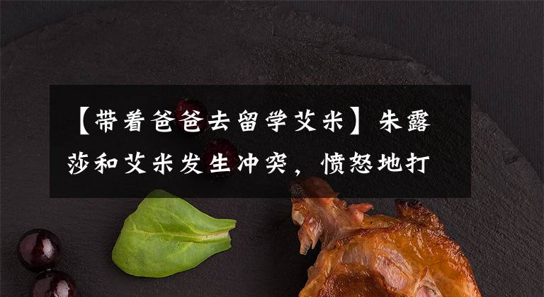 【带着爸爸去留学艾米】朱露莎和艾米发生冲突，愤怒地打了一巴掌，这次完全孤立了