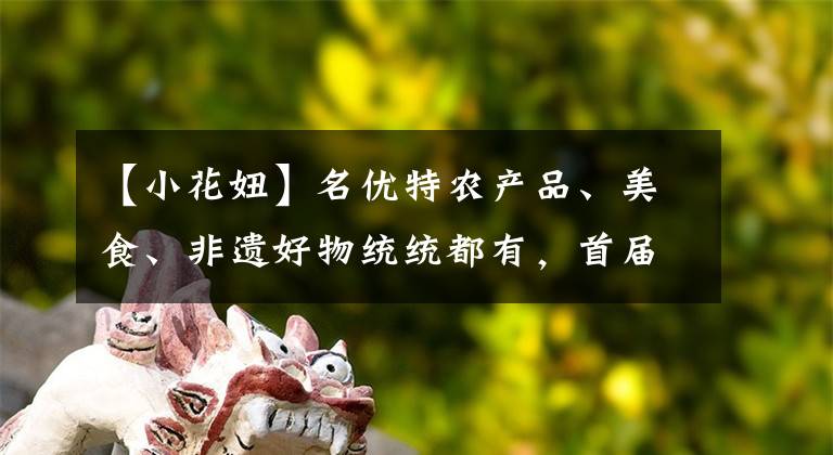 【小花妞】名优特农产品、美食、非遗好物统统都有，首届河南好品直播电商大会即将启幕