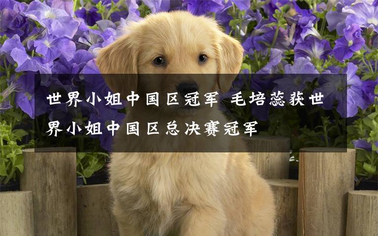 世界小姐中国区冠军 毛培蕊获世界小姐中国区总决赛冠军