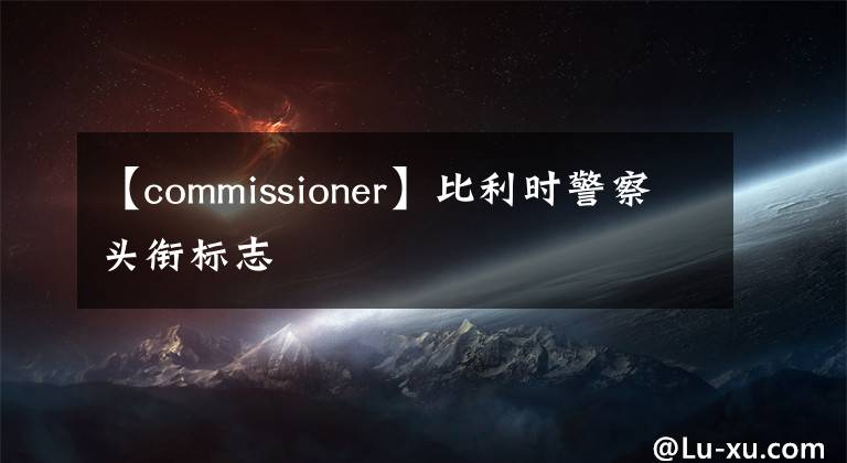 【commissioner】比利时警察头衔标志