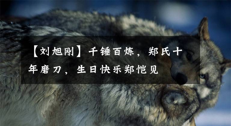 【刘旭刚】千锤百炼，郑氏十年磨刀，生日快乐郑恺见