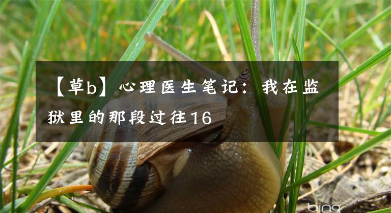 【草b】心理医生笔记：我在监狱里的那段过往16