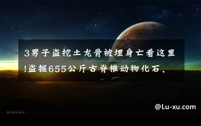 3男子盗挖土龙骨被埋身亡看这里!盗掘655公斤古脊椎动物化石，检察院对刘忠惠等人批准逮捕