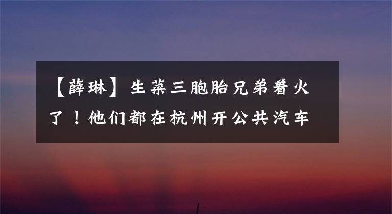 【薛琳】生菜三胞胎兄弟着火了！他们都在杭州开公共汽车