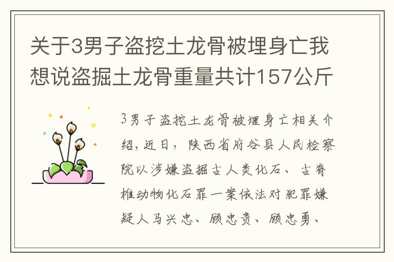 关于3男子盗挖土龙骨被埋身亡我想说盗掘土龙骨重量共计157公斤，府谷县检察院对马兴忠等7人批准逮捕