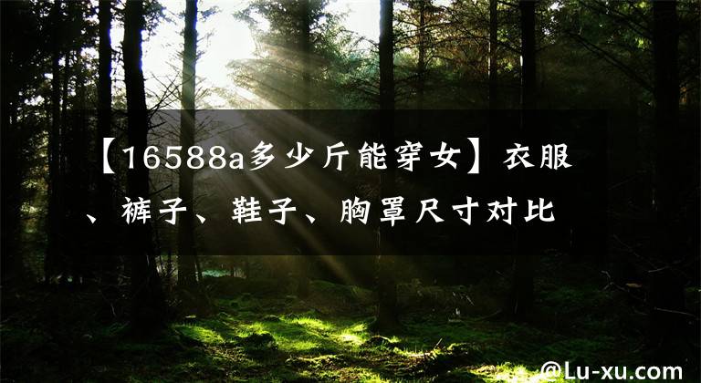 【16588a多少斤能穿女】衣服、裤子、鞋子、胸罩尺寸对比表！网上购物也不用担心！