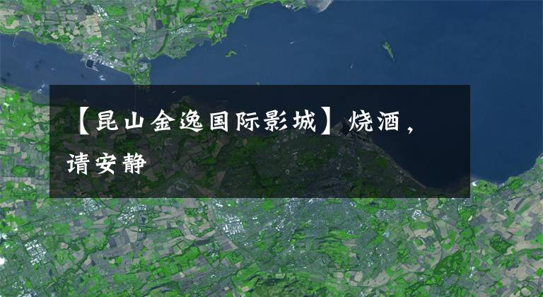 【昆山金逸国际影城】烧酒，请安静