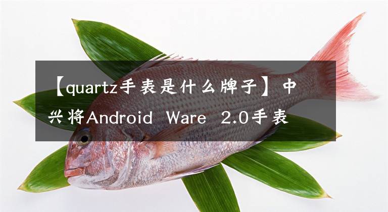 【quartz手表是什么牌子】中兴将Android  Ware  2.0手表Quartz推至相对便宜的192刀