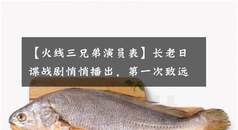 【火线三兄弟演员表】长老日谍战剧悄悄播出，第一次致远联合能否再次得到认可？