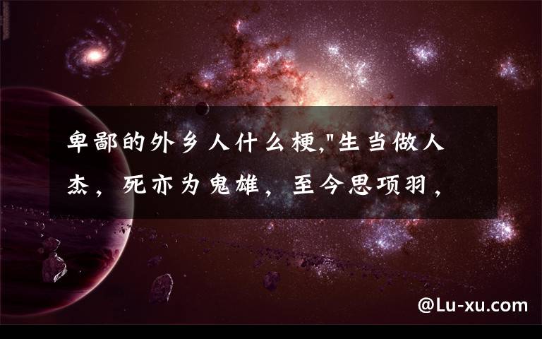 卑鄙的外乡人什么梗,