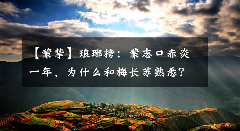 【蒙挚】琅琊榜：蒙志口赤炎一年，为什么和梅长苏熟悉？第一层关系未知