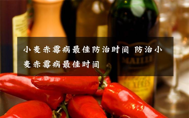 小麦赤霉病最佳防治时间 防治小麦赤霉病最佳时间