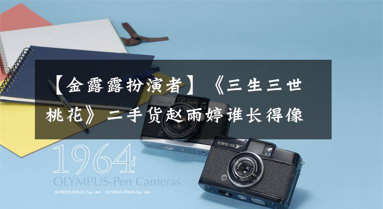 【金露露扮演者】《三生三世桃花》二手货赵雨婷谁长得像，原来蜜汁撞脸了啊！