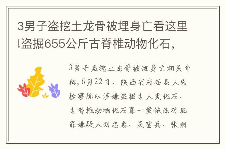 3男子盗挖土龙骨被埋身亡看这里!盗掘655公斤古脊椎动物化石，府谷县检察院对刘忠惠、吴富兵、张利平批准逮捕