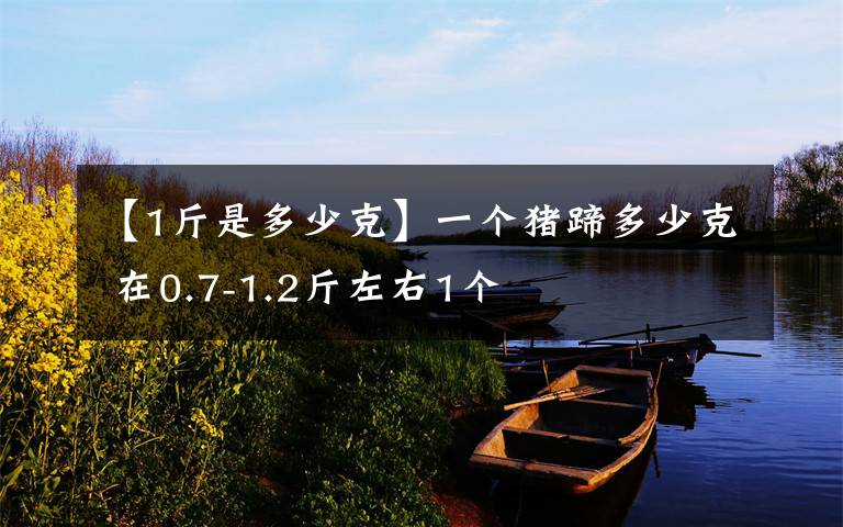 【1斤是多少克】一个猪蹄多少克 在0.7-1.2斤左右1个
