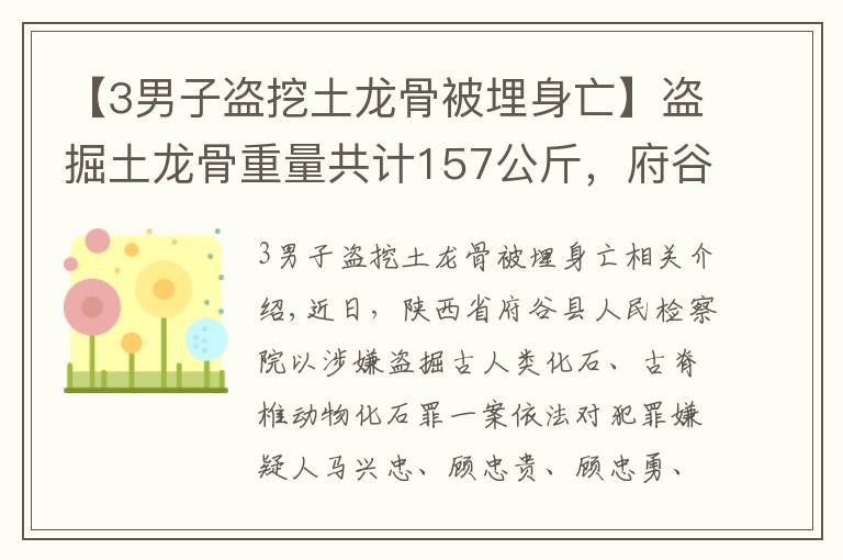 【3男子盗挖土龙骨被埋身亡】盗掘土龙骨重量共计157公斤，府谷县检察院对马兴忠等7人批准逮捕