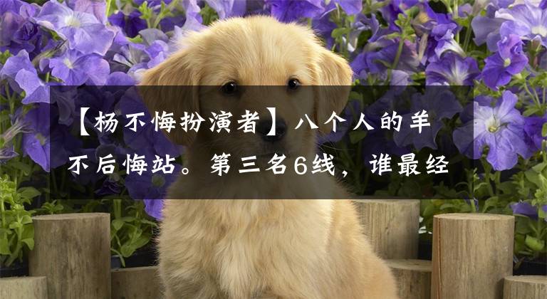 【杨不悔扮演者】八个人的羊不后悔站。第三名6线，谁最经典？