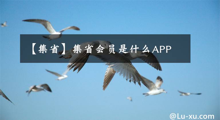 【集省】集省会员是什么APP