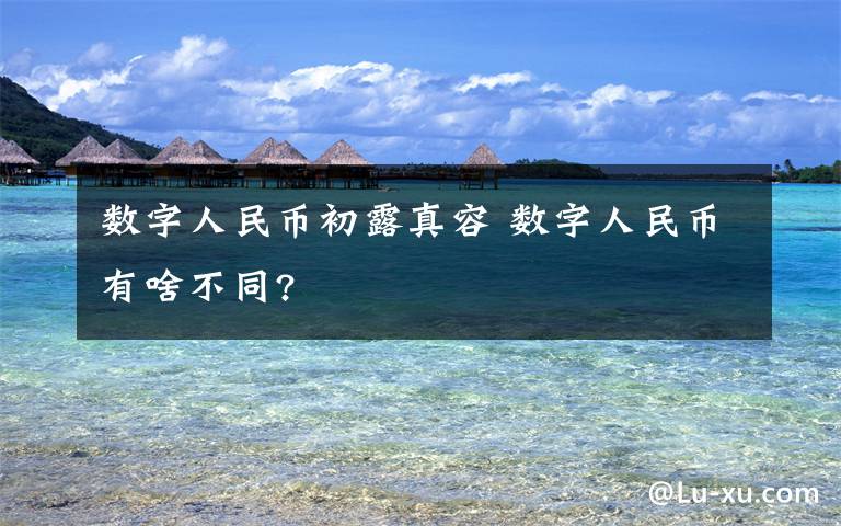 数字人民币初露真容 数字人民币有啥不同?