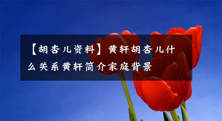 【胡杏儿资料】黄轩胡杏儿什么关系黄轩简介家庭背景
