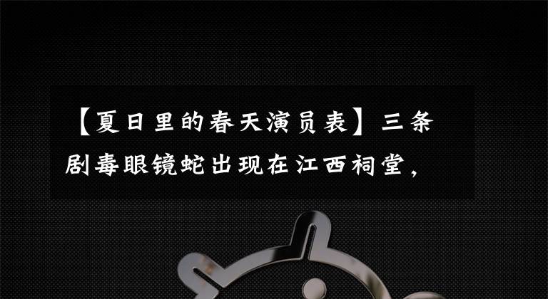 【夏日里的春天演员表】三条剧毒眼镜蛇出现在江西祠堂，被抓的时候正在晒太阳，完全不怕雄性。