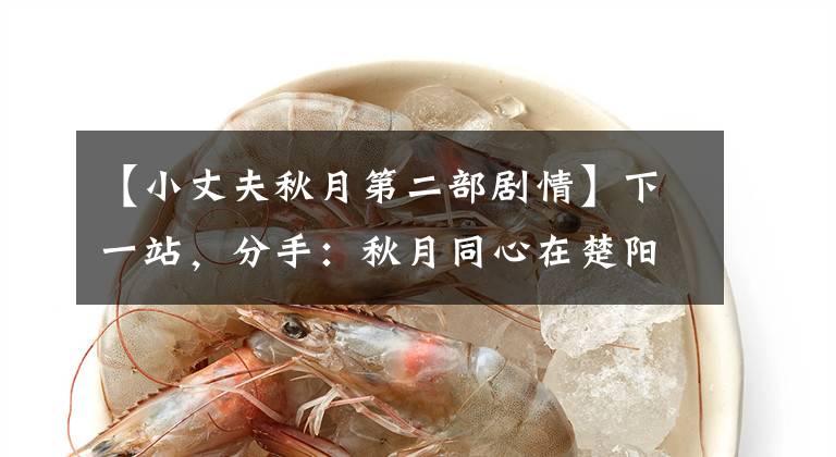 【小丈夫秋月第二部剧情】下一站，分手：秋月同心在楚阳，连老公出轨都不知道！