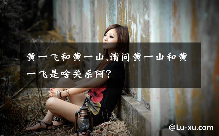黄一飞和黄一山,请问黄一山和黄一飞是啥关系阿？