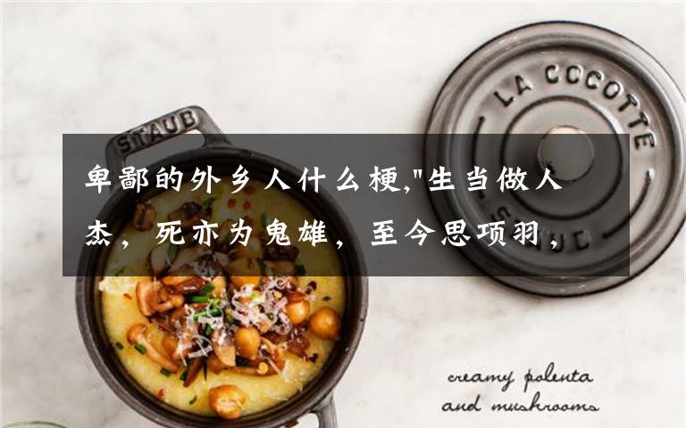 卑鄙的外乡人什么梗,