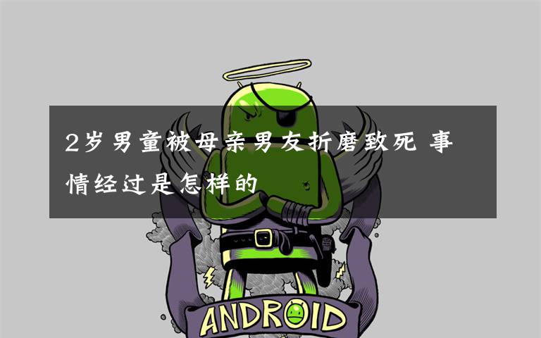 2岁男童被母亲男友折磨致死 事情经过是怎样的