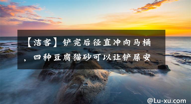 【洁客】铲完后径直冲向马桶，四种豆腐猫砂可以让铲屎安心舒服。