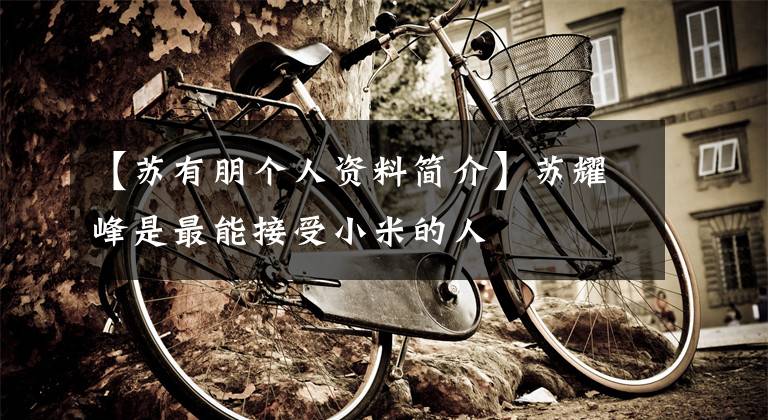 【苏有朋个人资料简介】苏耀峰是最能接受小米的人