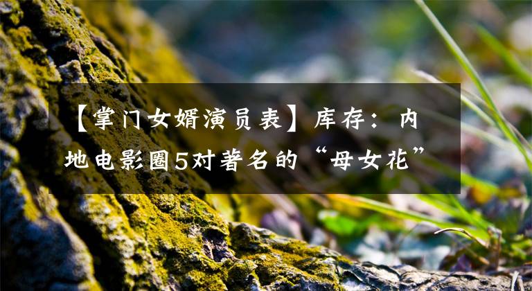【掌门女婿演员表】库存：内地电影圈5对著名的“母女花”中，你最喜欢哪一对？