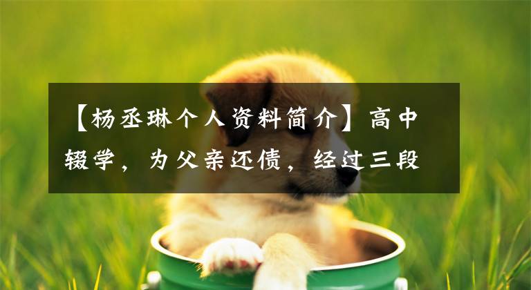 【杨丞琳个人资料简介】高中辍学，为父亲还债，经过三段失败的恋爱，杨清霖终于迎来了她的幸福。