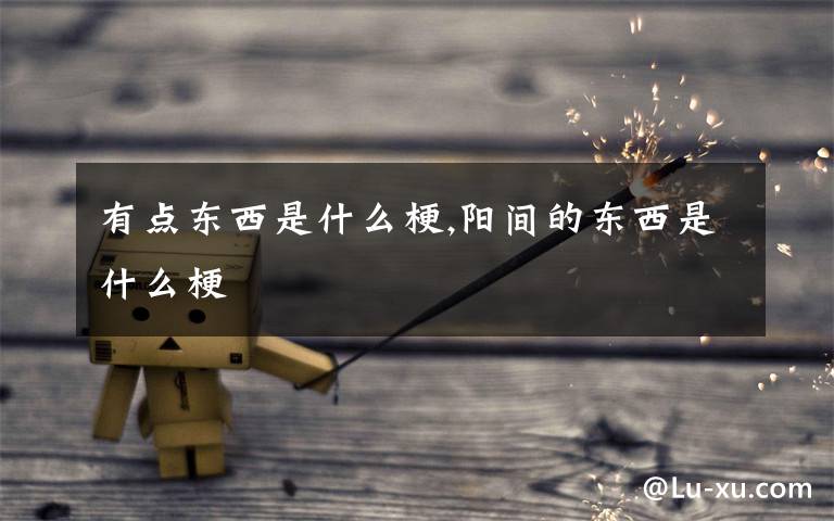 有点东西是什么梗,阳间的东西是什么梗