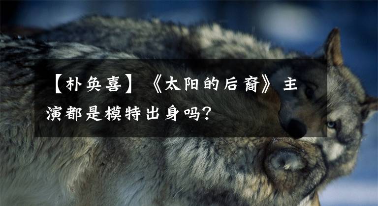 【朴奂喜】《太阳的后裔》主演都是模特出身吗？